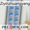 Ziyinzhuangyang 22